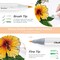 Ohuhu Pastel Markers Alcohol Based -96 Pastel Colors of Sweetness & Blossoming - Double Tipped Art Alcohol Markers for Artist Adults' Coloring Illustration - Brush & Fine - Honolulu B
